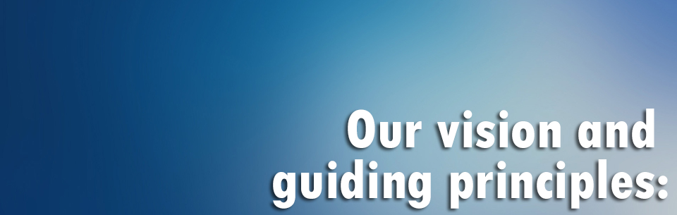 Guiding Principles Guiding Principles